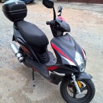 Testy